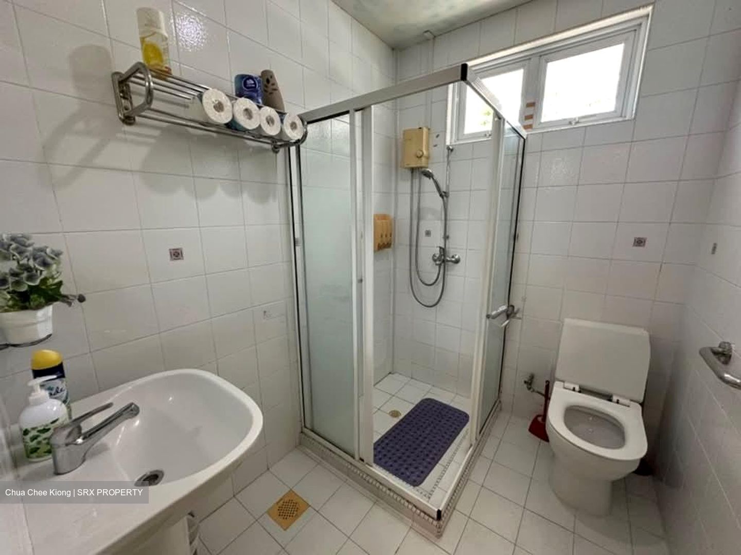 Seletar Hills Estate (D28), Semi-Detached #536114951